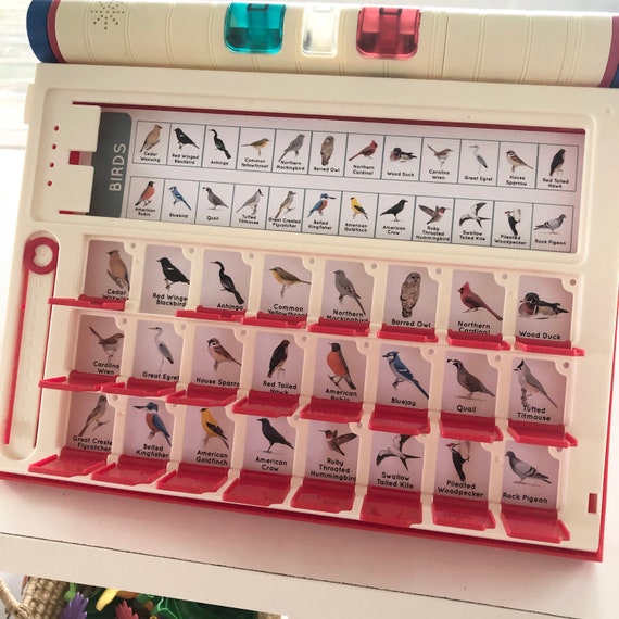 electronic guess who