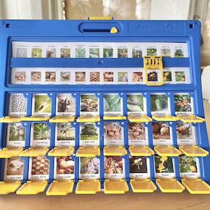 Tarjeta de inserción imprimible del juego de adivinanzas del ciclo de vida