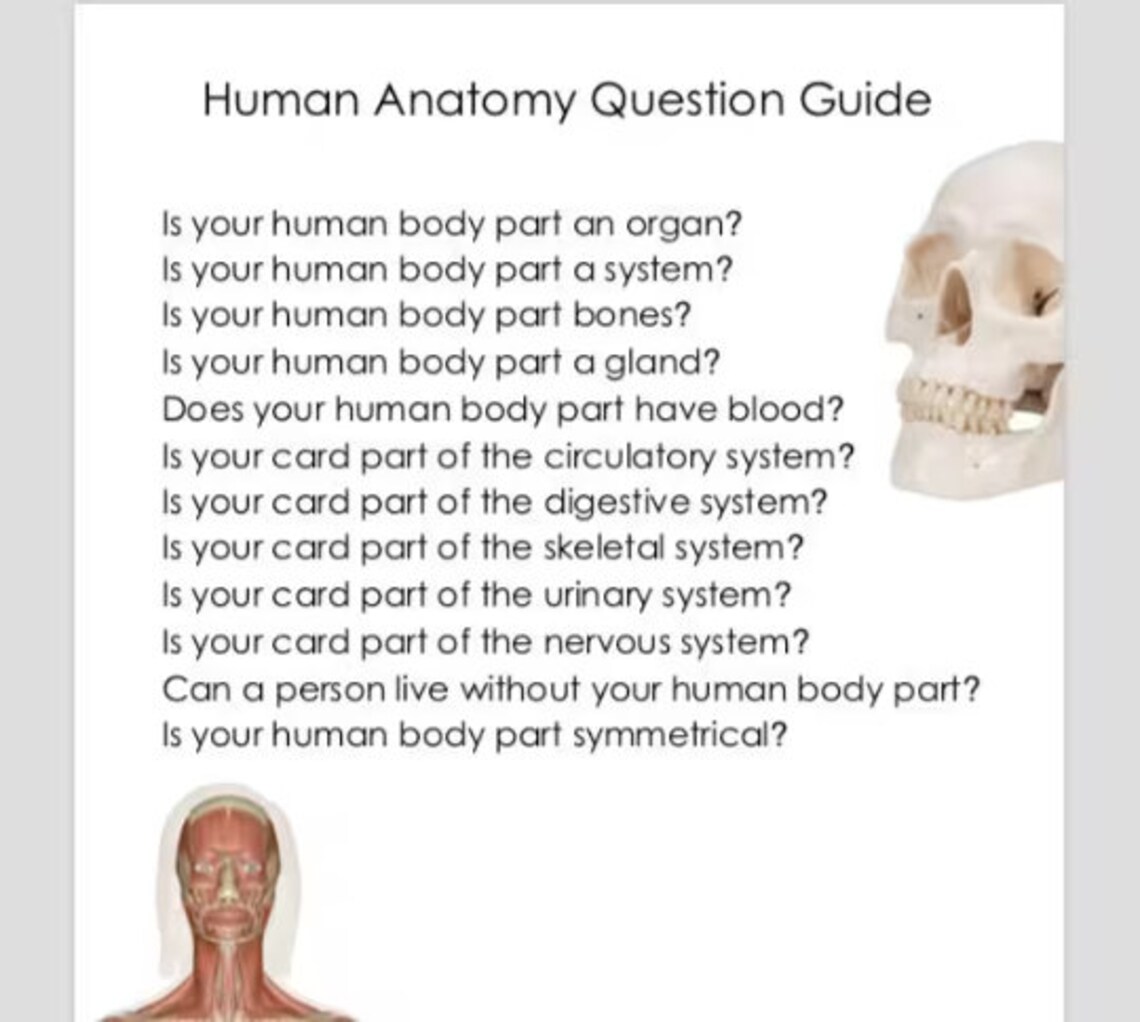 Anatomy Guessing Game Printable Insert Card - Etsy