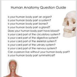 Anatomy Guessing Game Printable Insert Card - Etsy