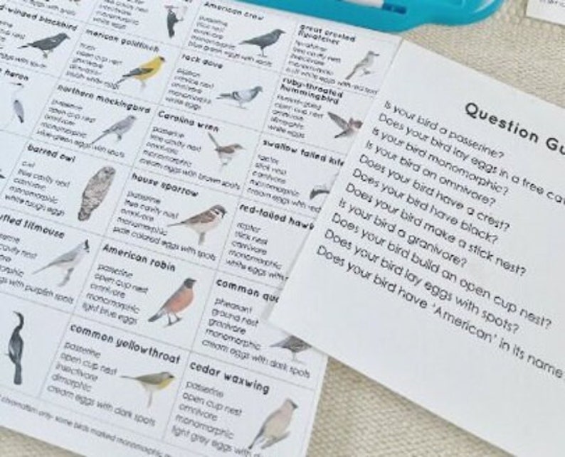 Tarjeta de inserción imprimible del juego de adivinanzas de pájaros de América del Norte imagen 2