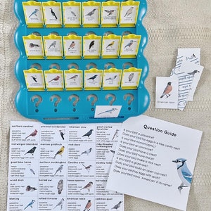 Jeu de devinettes avec cartes à insérer, insectes de l'océan, oiseaux