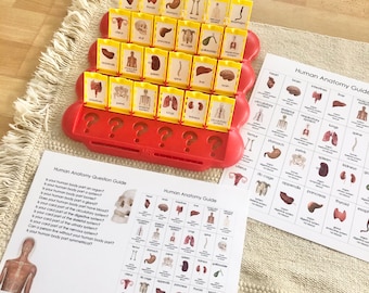Anatomy Printable Guessing Game Insert Cards