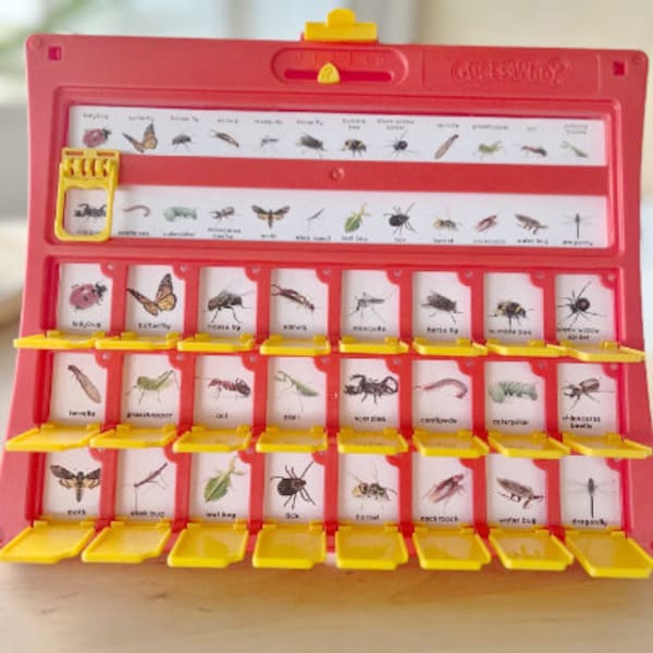 Bugs & Insects Guessing Game Printable Insert Card