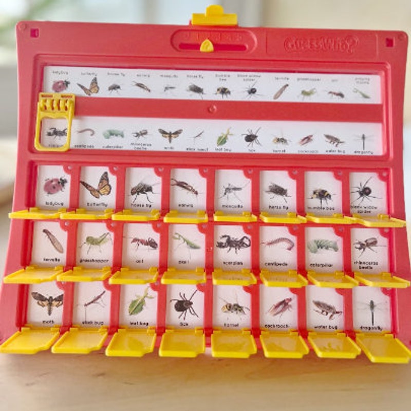 Guess Who Bugs - Etsy