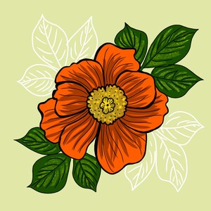 Poppy | Note Card | 4x5.5