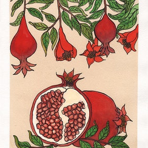 Pomegranate | Watercolor Botanical Print | 8x10 | 5x7