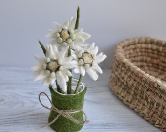 May include: A bouquet of three white felt edelweiss flowers in a green felt vase. The vase is tied with twine.