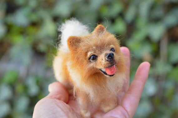 mini german spitz