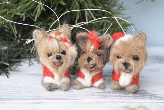 miniature toy yorkie