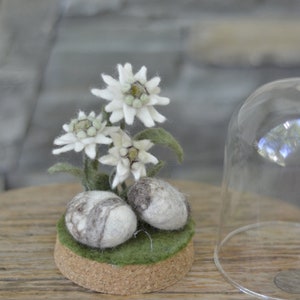Mit Edelweiß gefilzte Nadelfilz Dekoration in Cloche Konfitüre, Geschenk für Naturliebhaber, Filzblumen Dekor