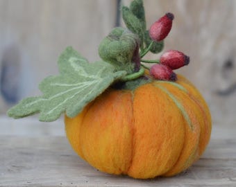 Felt Pumpkin Decor: Handmade Autumn Decoration with Rose Hips