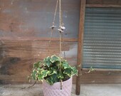 Pink ceramic hanging planter- handmade ceramuc planter - wedding gifts - Gifts -homewares - indoor planter