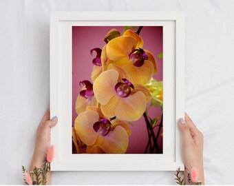 Yellow Orchid Original Art Unframed Photography Print, Fuchsia Wall Art Print for Bedroom, Botanical Print for Modern Art Housewarming Gift