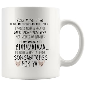 Best Meteorologist Mug, Meteorologist Gift Idea,Meteorologist Mug,Meteorologist Gift, Meteorologist Grad, New Meteorologist,