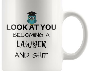 New Lawyer Gift, Lawyer Mug, Lawyer Cup,Funny Lawyer Gift, Lawyer Thank You, Lawyer Appreciation, Lawyer Gift Idea,Lawyer Gift For Her & Him