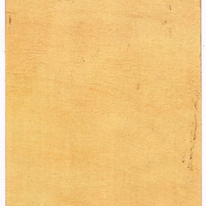 Indian Kamasutra Art Painting of A Semi Nudes Women Fine Art on Paper 8