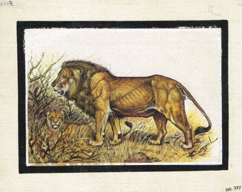 Lion Painting Hand Miniature Animal Art On Silk Cloth 8.5x6.5 Inches | Wild Animal Art Painting | Lion For For Wall Decor | Vintage Lion Art