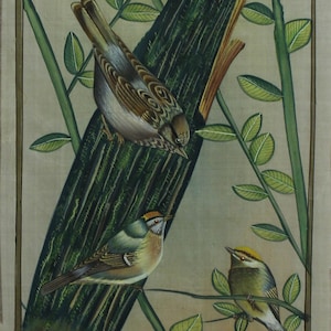 Birds Painting For Wall Decor Gift Hand Miniature Nature Art For Wall Hanging 15x45 Inches | Vintage Bird Paintings On Silk Cloth