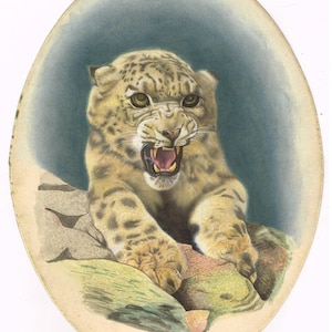 Animal Miniature Painting Of Cheetah Handmade Finest Wildlife Art For Wall Hanging 6.5x9 Inches | Angry Animal Art | Wildlife Nature Art