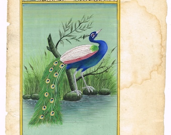 Vintage Indian Miniature Peacock Painting: Nature Art