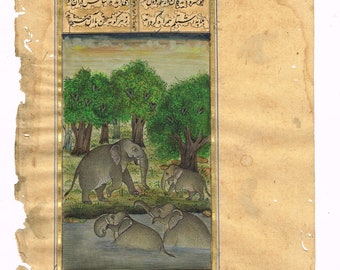 Mughal Elephant Painting: Herd in Water, Miniature Animal Art