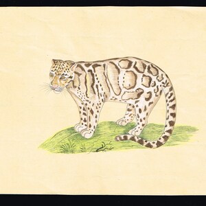 Dipinto di animali, ghepardo, miniatura, natura, fauna selvatica, arte su carta, 8,5x5,5 pollici / Arte della tigre per parete / Arte selvaggia da appendere alla parete