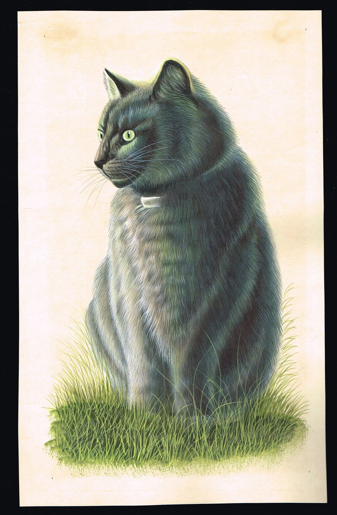 Cat Painting Hand Miniature Fine Animal Art on Paper 6.5x10.5 Inches