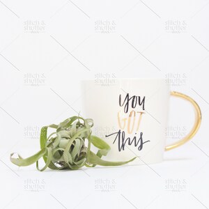 May include: White ceramic mug with a gold handle and black lettering that reads "you got this". A green air plant is next to the mug on a white background.