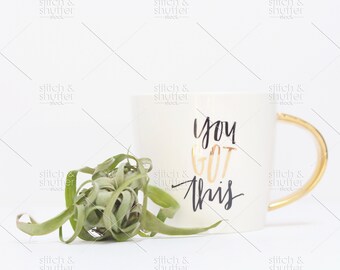 You Got This Mug with Airplant Styled Stock Photo for Instagram | Social Media or Blog Coffee Image | Airplant Image | Motivational Image