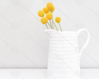 Farmhouse Pitcher with Billy Balls Styled Stock Photo for Instagram | Social Media or Blog Farmhouse Style Image | Flower Styled Stock Photo