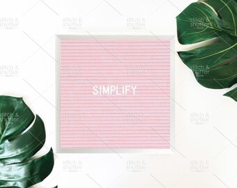 Pink Simplify Letter Board & Monstera Styled Stock Photo for Instagram | Social Media or Blog Letterboard Image