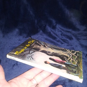 Magic In the Park by Ruth Chew-Vintage-First Edition-Ask to bundle books for refund on shipping overages