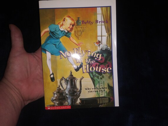 no flying in the house book