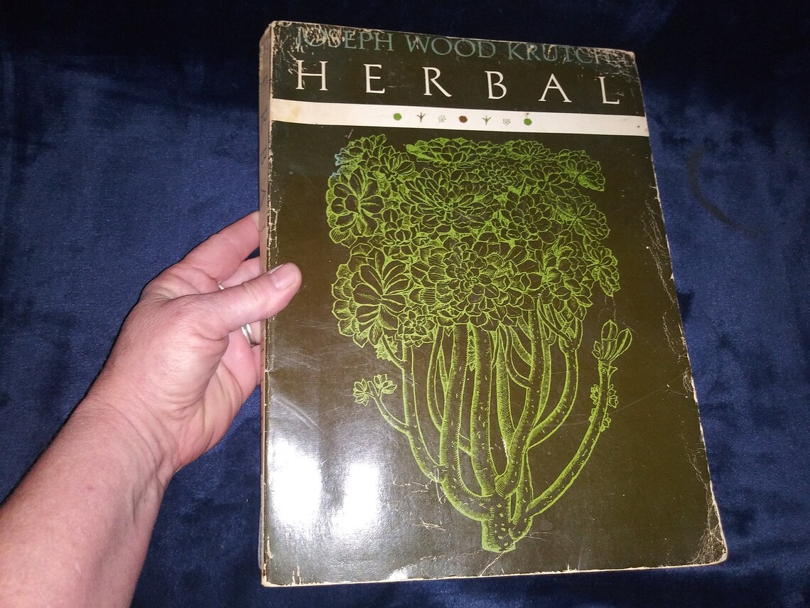 HerbalRare Large Vintage Herb Book see update below Etsy