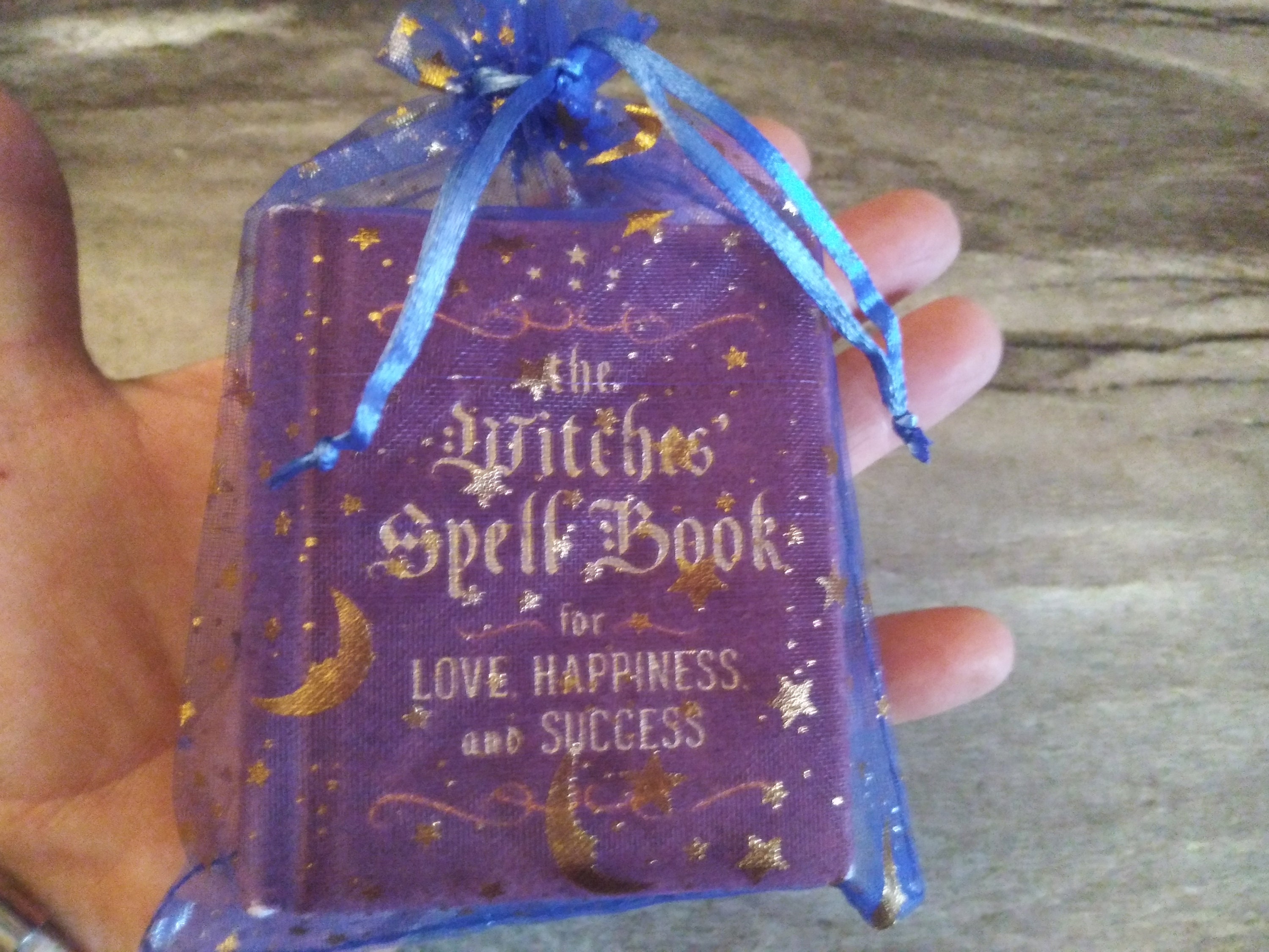 The Witches Spell Book for Love Happiness and Success-Adorable Mini S…