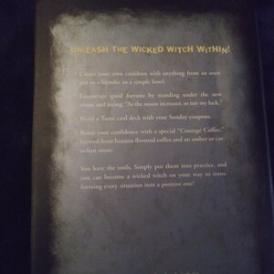 Vintage "How To Be A Wicked Witch" Hardcover Book by Patricia Telesco-You choose from menu image 3