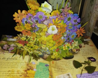 Flower Fairy Pop-up Book Trilogy-cicely, Mary Barker-read Details