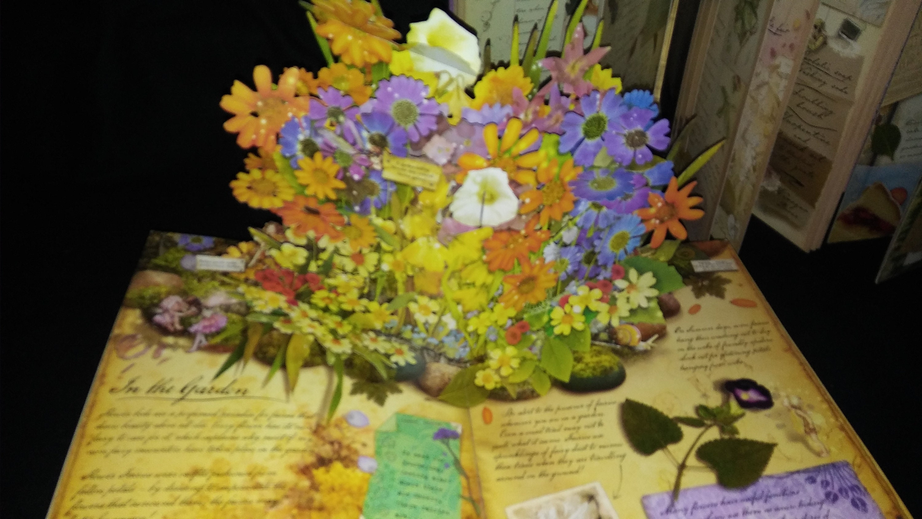 Flower Fairy Pop-up Book Trilogy-cicely, Mary Barker - Etsy