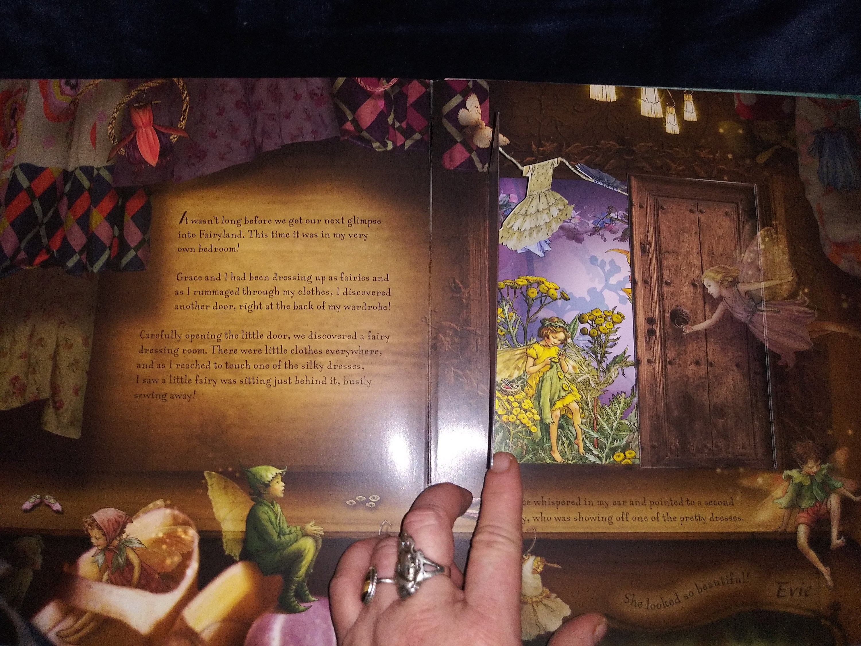 Flower Fairies Magical Doors-original - Etsy