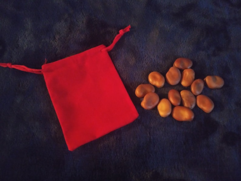 13 Hoodoo Wishing Beans-In a Mojo Bag bild 9