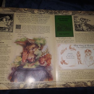 May include: An illustrated open book with text and drawings. The page features a whimsical illustration of a donkey-like creature stirring a cauldron. Text includes "Chapter IX: Potions, Healing & Magical Transformations" and "The Wizard's Apothecary".