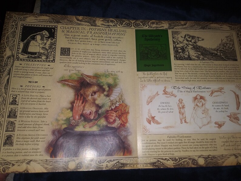 May include: An illustrated open book with text and drawings. The page features a whimsical illustration of a donkey-like creature stirring a cauldron. Text includes "Chapter IX: Potions, Healing & Magical Transformations" and "The Wizard's Apothecary".