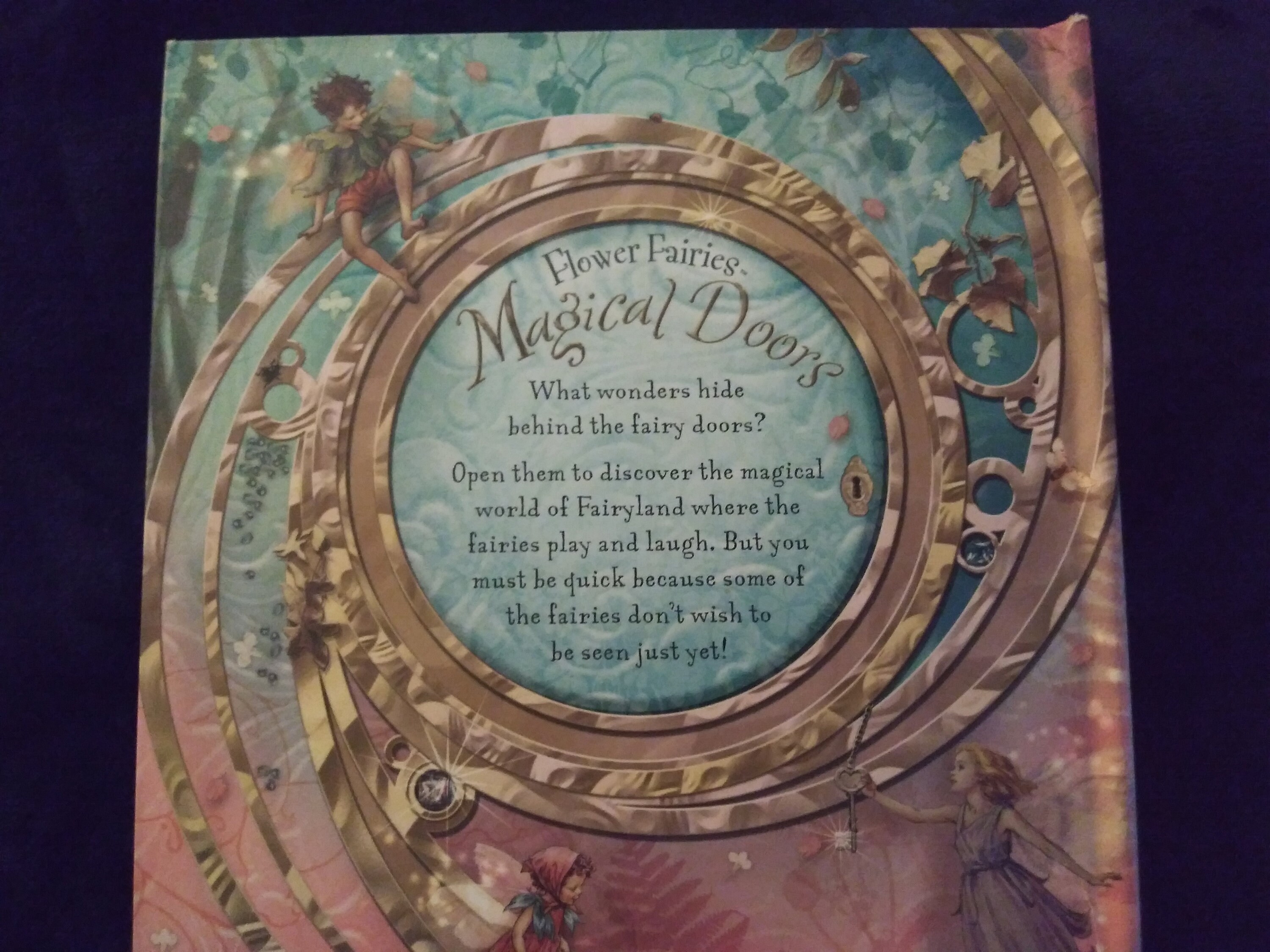 Flower Fairies Magical Doors-original - Etsy