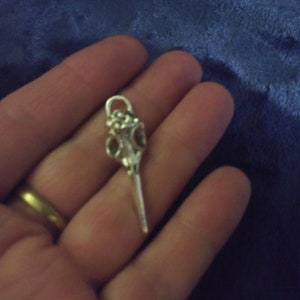 Raven Skull Charm: Necklace, Bracelet, Keychain