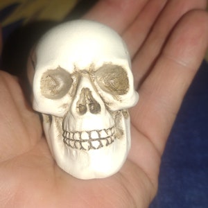 Skull Cake Topper and/or Witch Hat-A Very nice Resin skull with or without felt hat for your altar-Your choice in menu