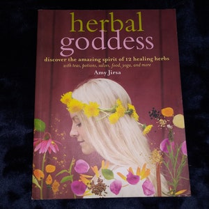 Recipe Book-Herbal Goddess By Amy Jirsa-A Great Herbal Recipe Book