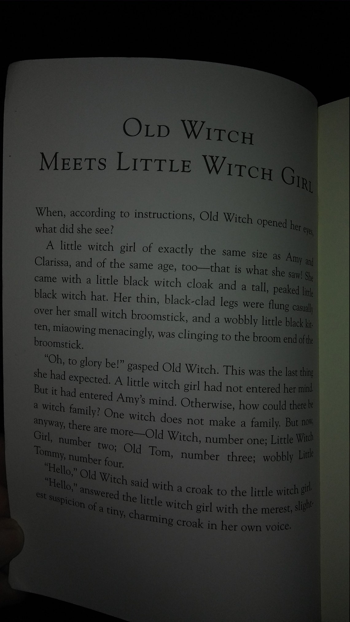 The Witch Family by Eleanor Estes The Witch Family by Eleanor Estes