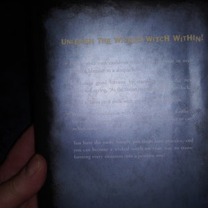 Vintage "How To Be A Wicked Witch" Hardcover Book by Patricia Telesco-You choose from menu image 2