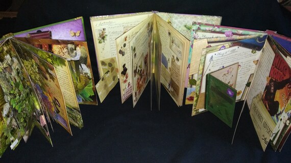 Flower Fairy Pop-up Theater：シシリーメアリーバーカー Amazon | Flower Fairy Pop-up Theater (Flower Fairies